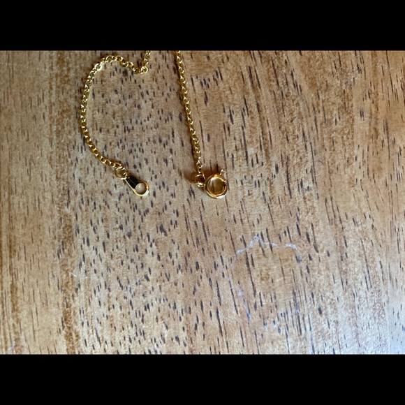Blue and gold dog print jewelry - Picture 4 of 5